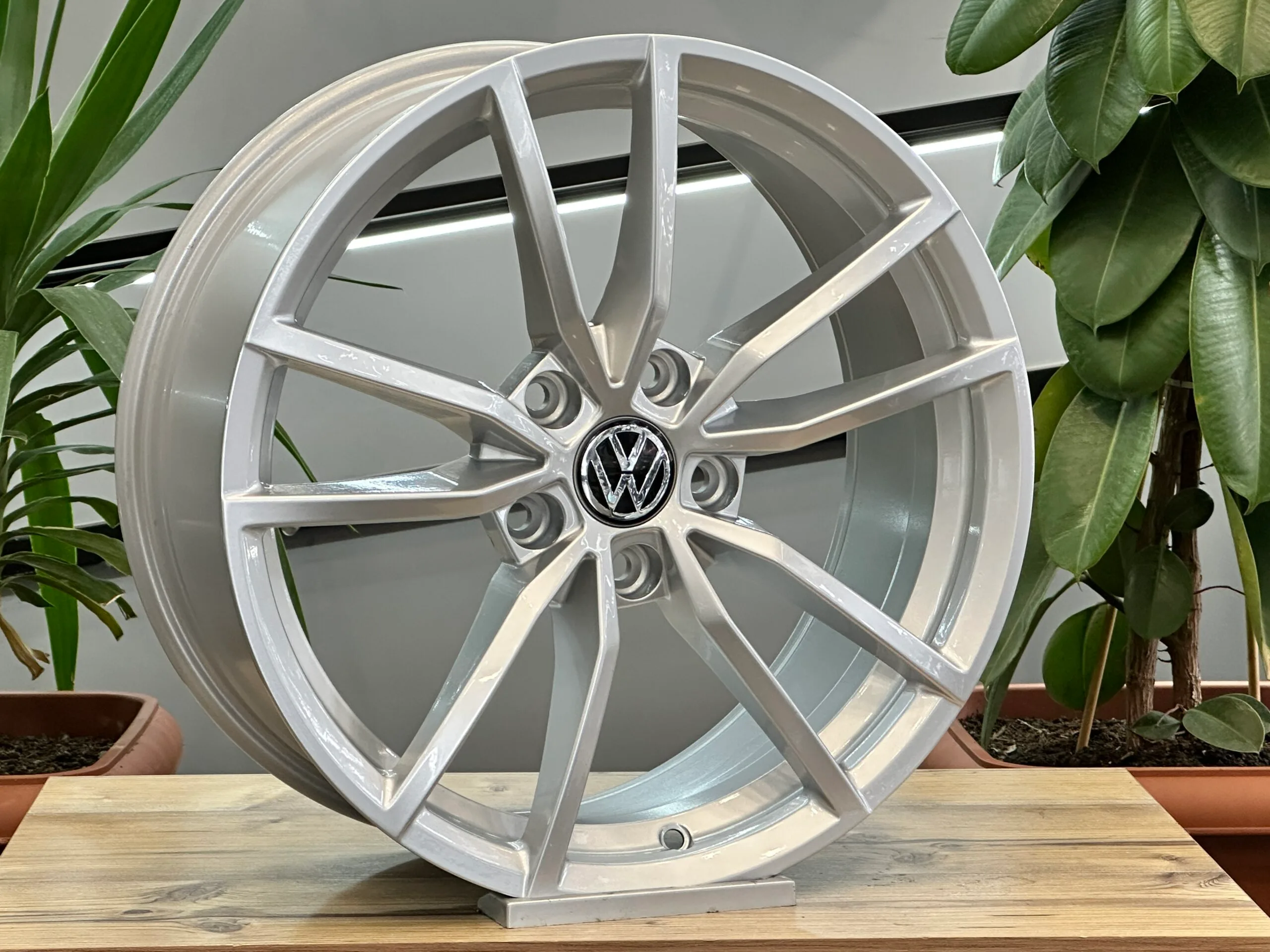 17" PROTERIA - Görsel 3