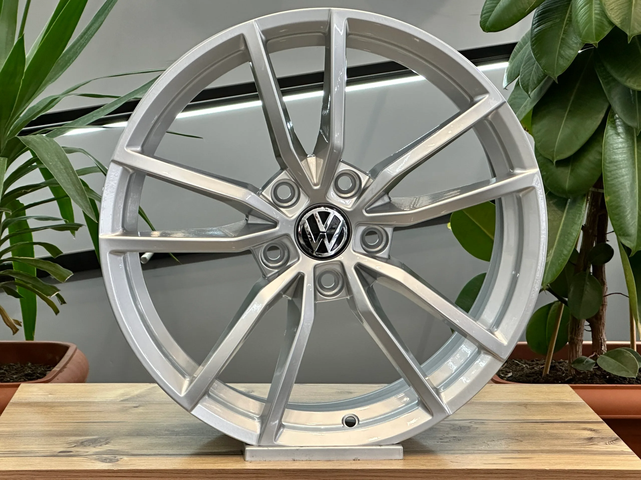 17" PROTERIA - Görsel 1